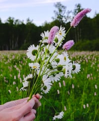 Buket blomster